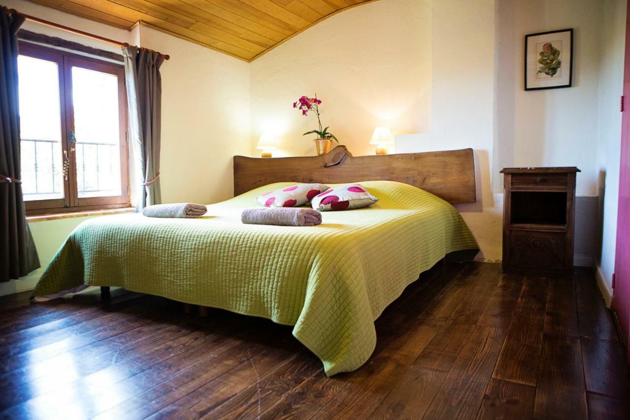 Domaine De Perruche Du Buis Villa Arques  Exteriör bild